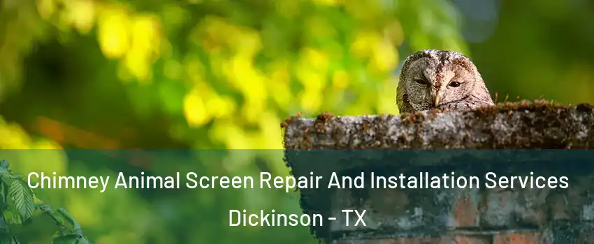  Chimney Animal Screen Repair And Installation Services Dickinson - TX