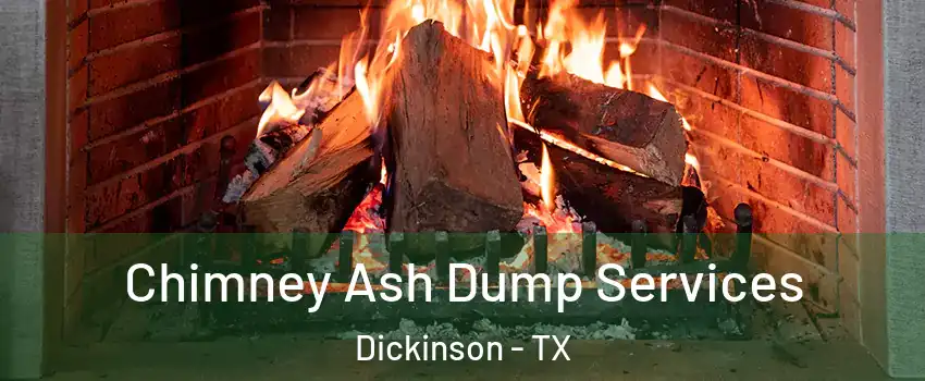  Chimney Ash Dump Services Dickinson - TX