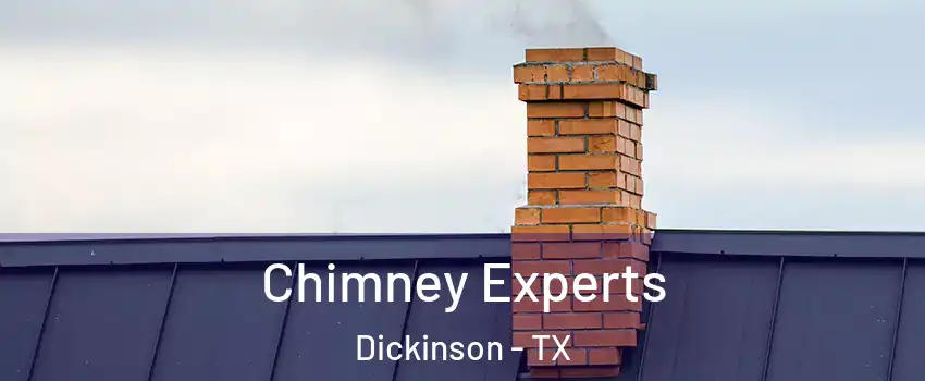  Chimney Experts Dickinson - TX