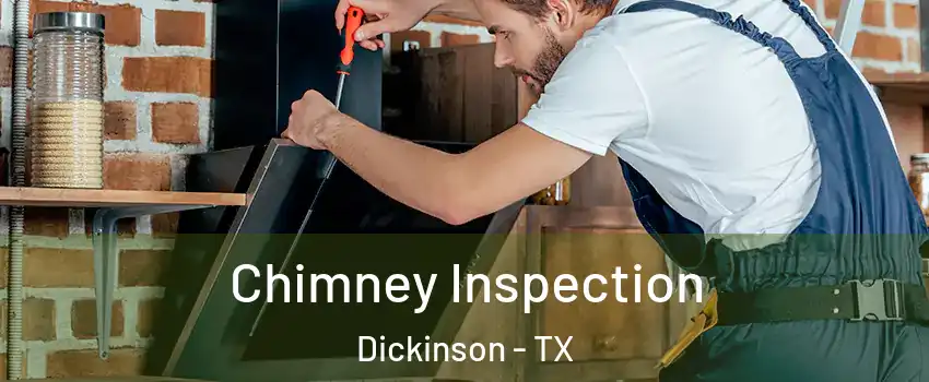  Chimney Inspection Dickinson - TX