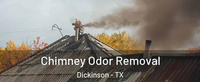  Chimney Odor Removal Dickinson - TX
