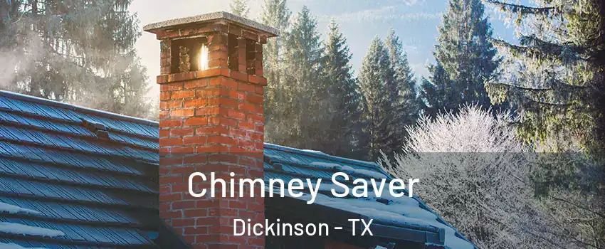  Chimney Saver Dickinson - TX