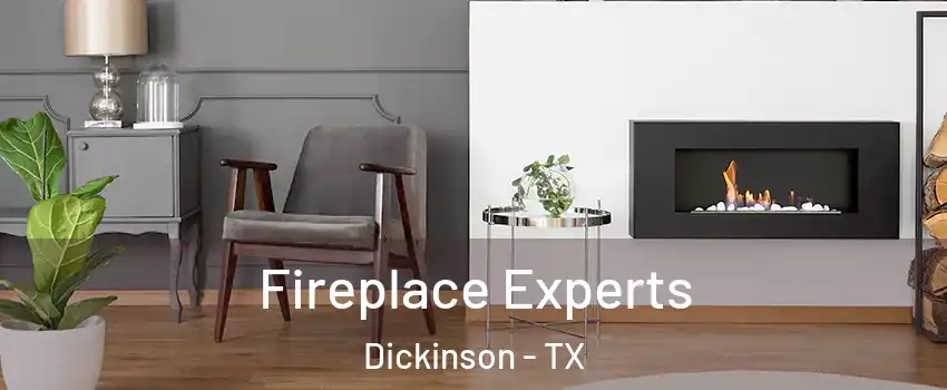  Fireplace Experts Dickinson - TX