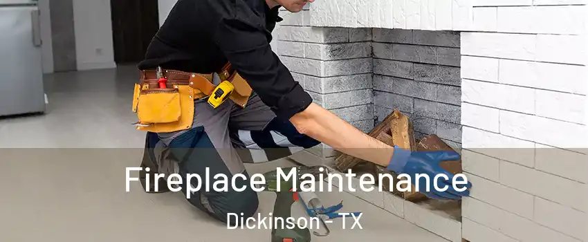  Fireplace Maintenance Dickinson - TX