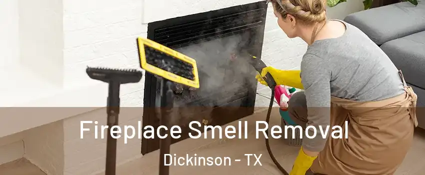  Fireplace Smell Removal Dickinson - TX