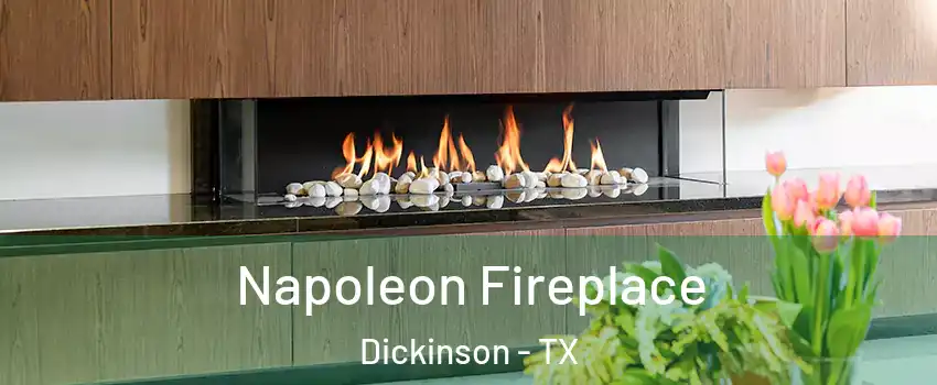  Napoleon Fireplace Dickinson - TX