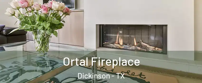 Ortal Fireplace Dickinson - TX