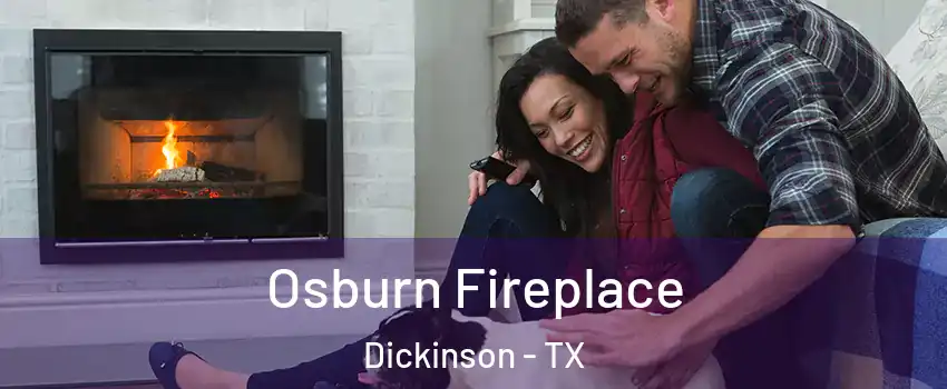  Osburn Fireplace Dickinson - TX